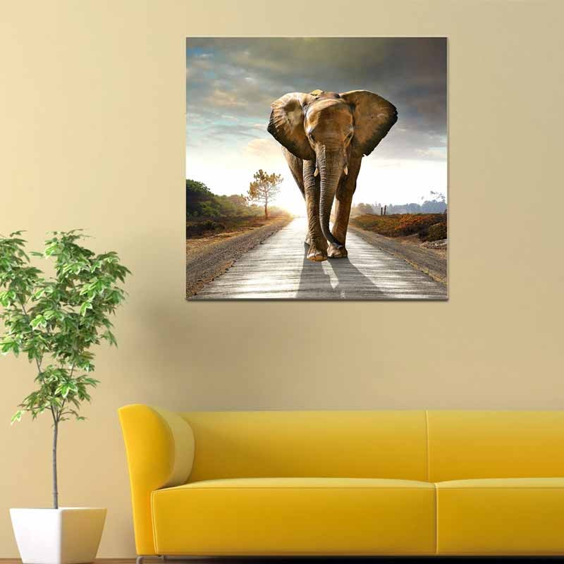 Elefante, Tela Canvas